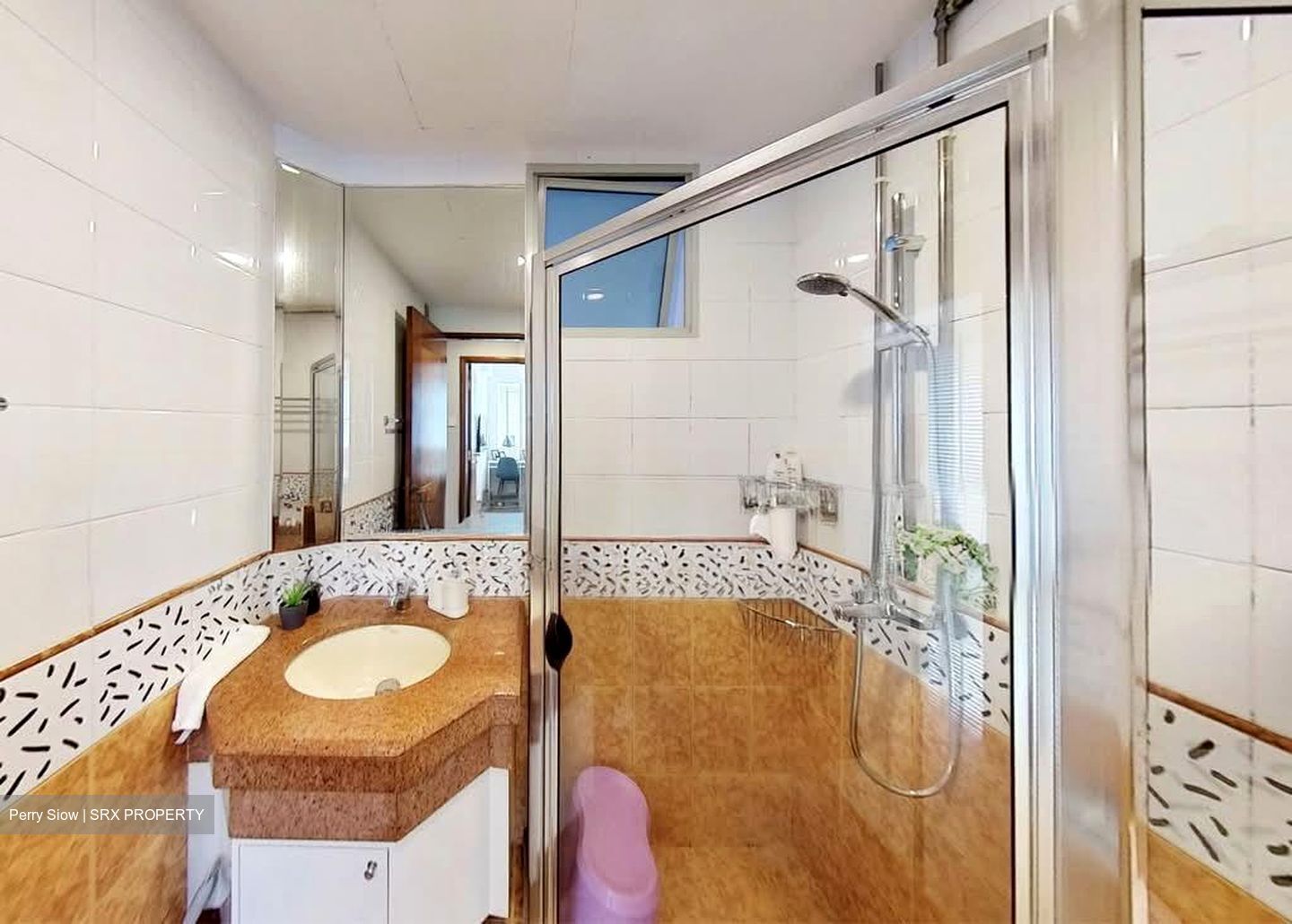 Sunshine Plaza (D7), Apartment #536678251